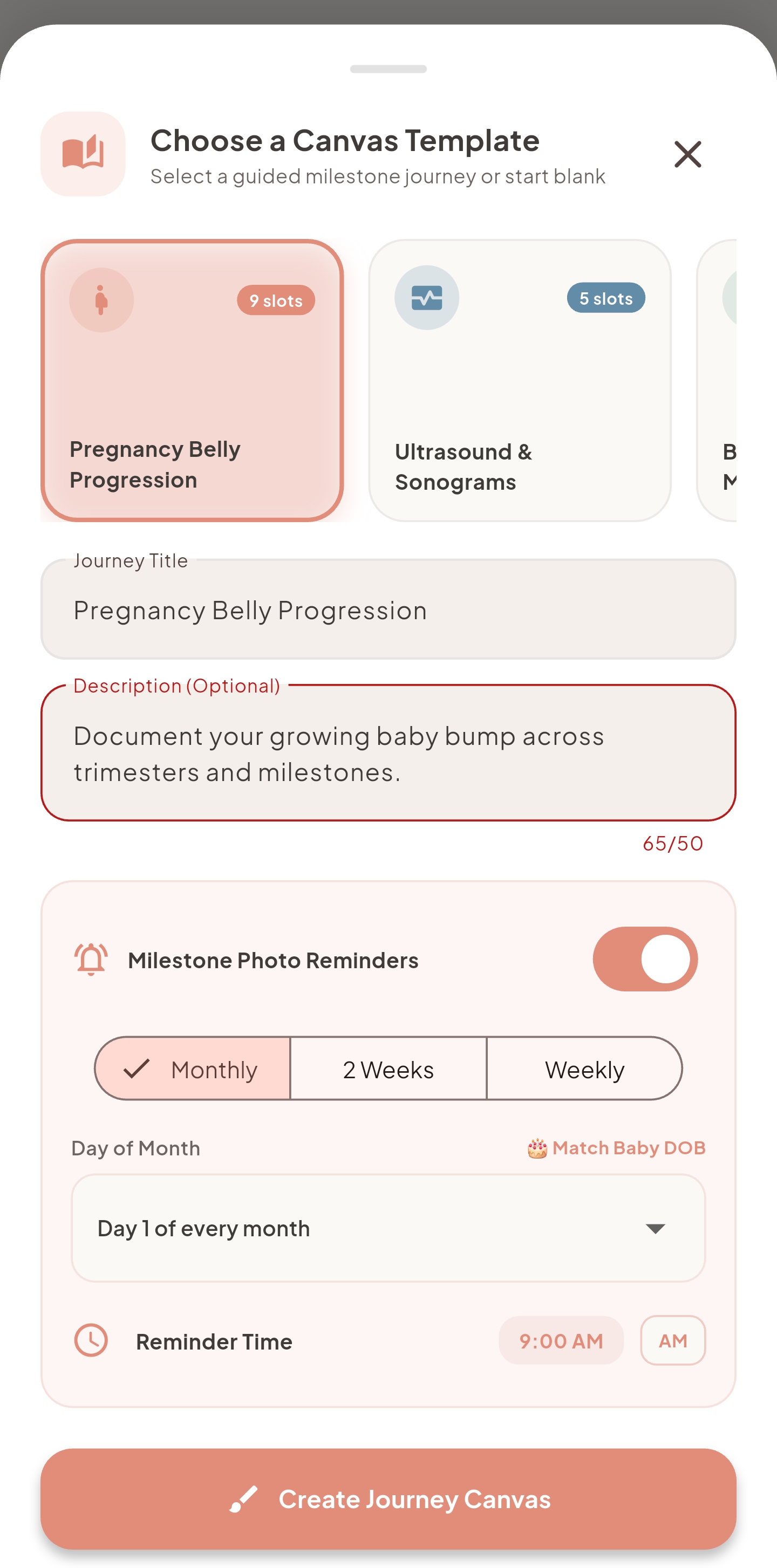 Pregnancy Belly Ghost Camera Alignment Guide